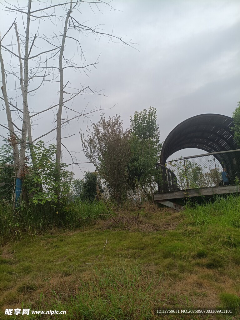 户外草地中的拱形设施