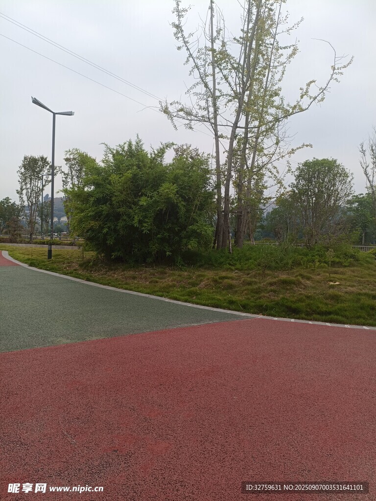 户外彩色步道及周边绿植