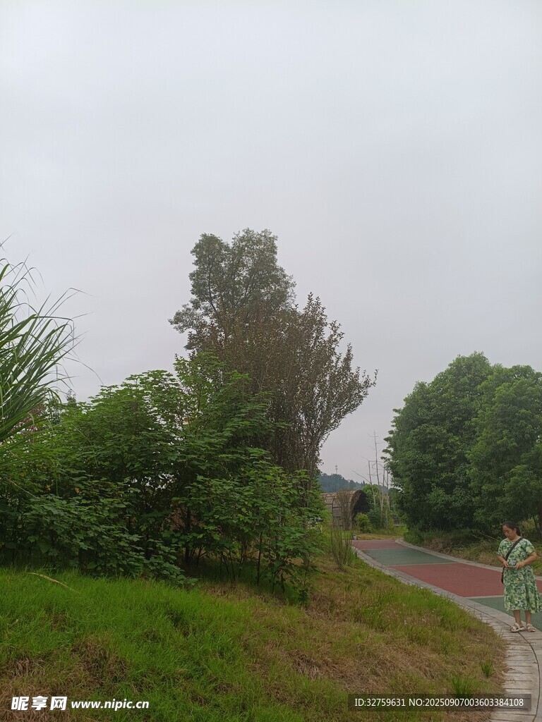 郊外绿意盎然的自然小路