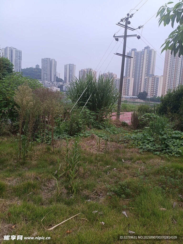 城郊荒地与远处高楼景观