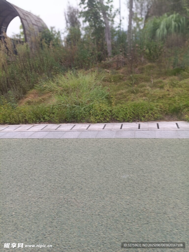 户外平坦路面与绿植景观
