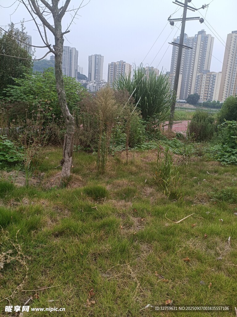 城郊荒地景观