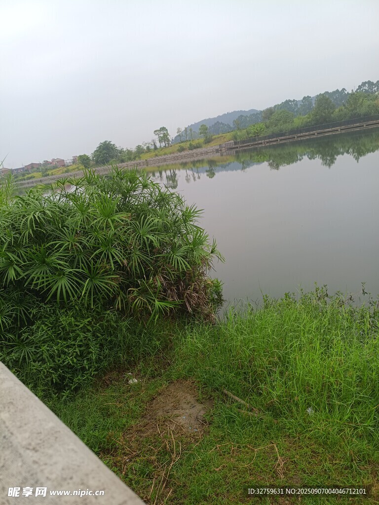 宁静湖畔绿植景观