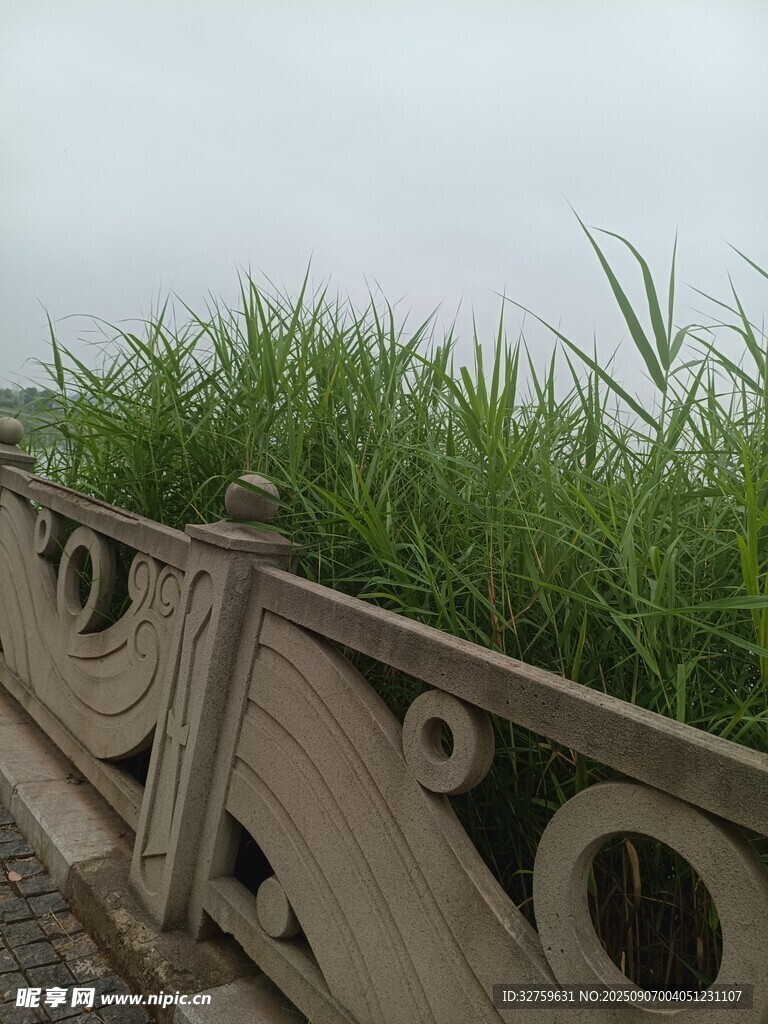 木栏杆旁的茂盛绿色植物