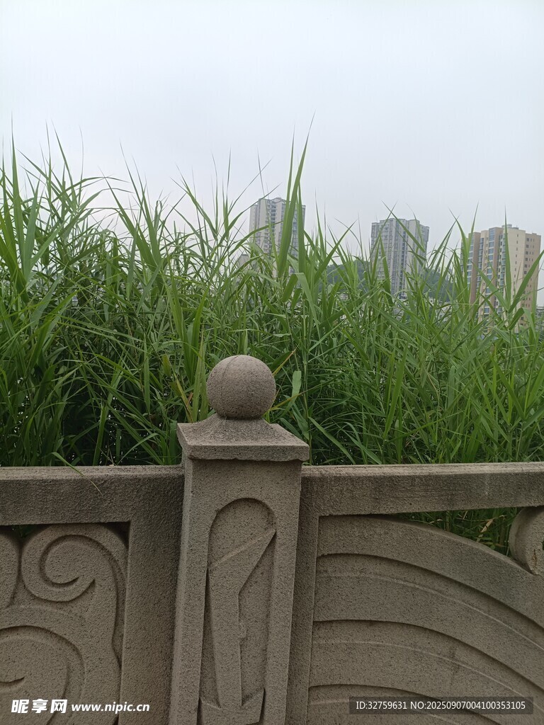 围栏边的茂盛绿草
