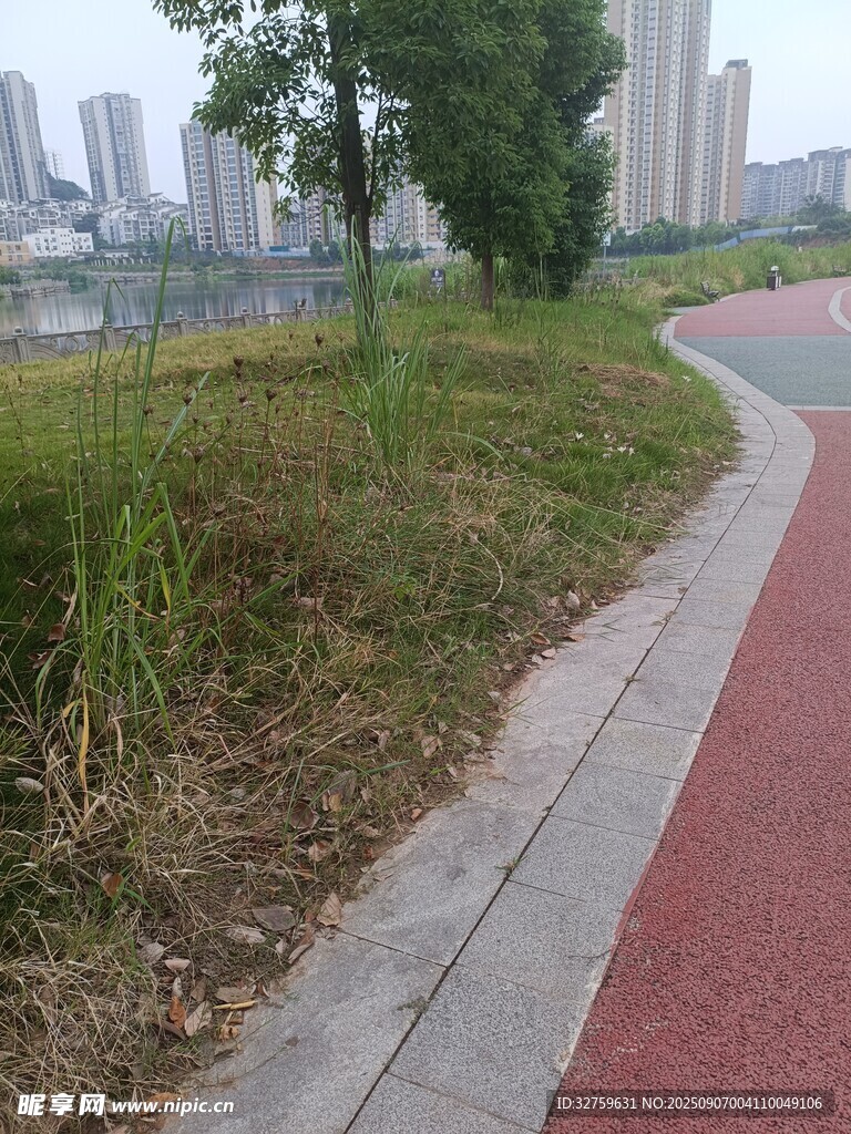 城市中蜿蜒的彩色步道