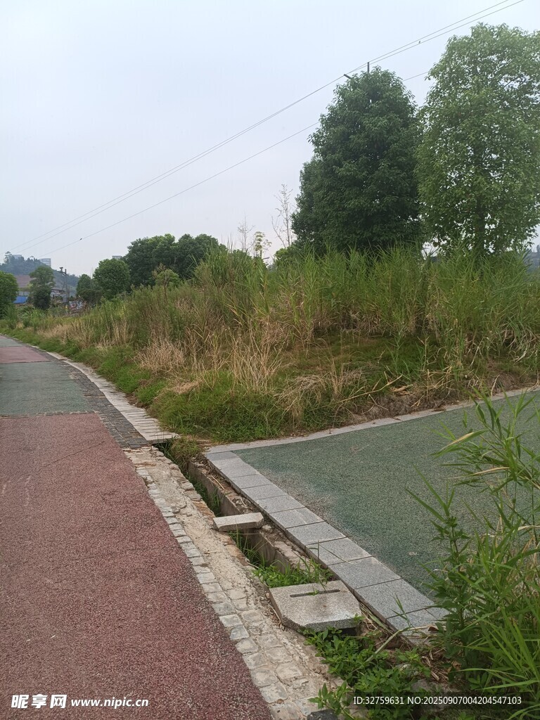 户外休闲步道与绿植景观