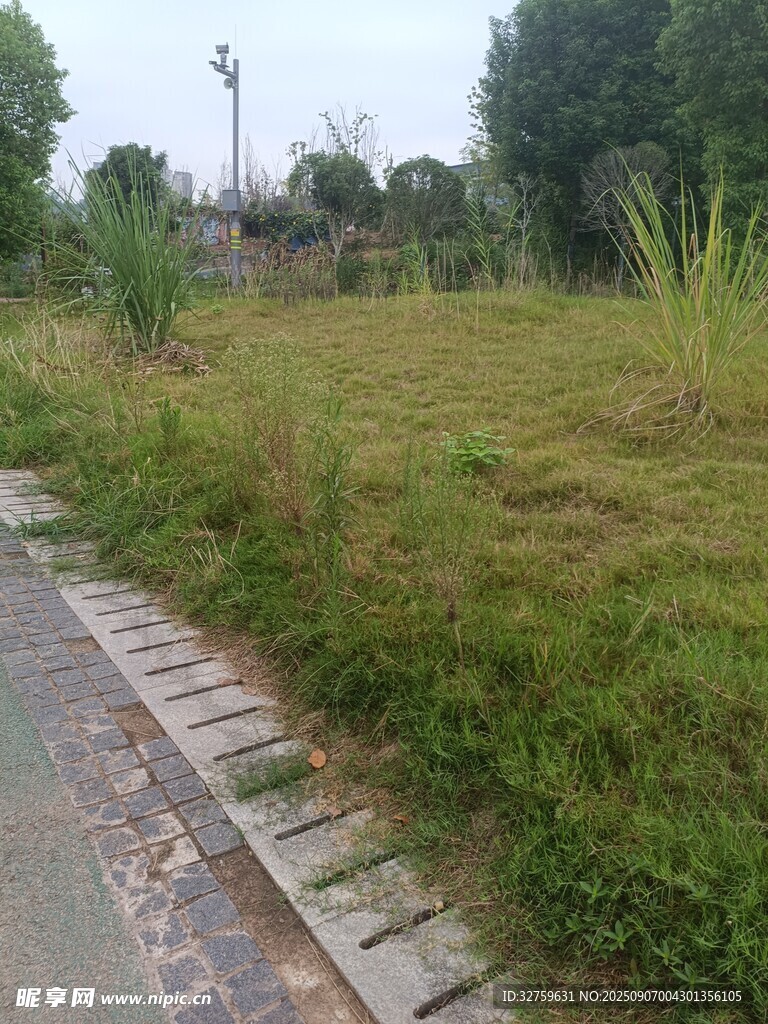 路边草地与石板路景观