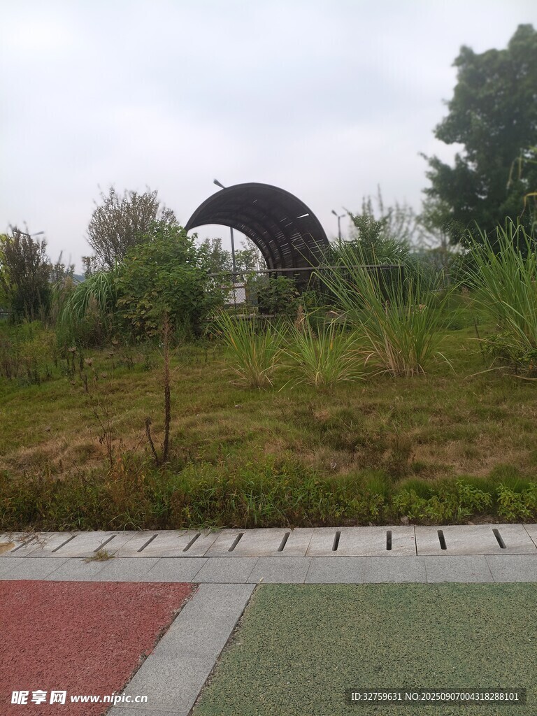 户外草地中的拱形景观