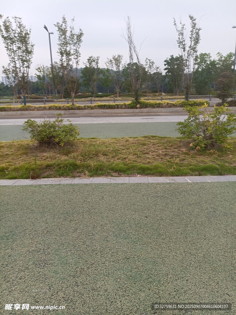 户外开阔草地与远处景观