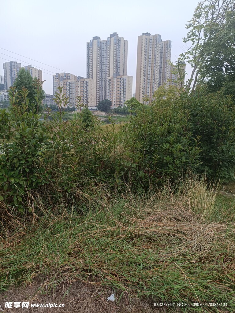城郊野景与远处高楼