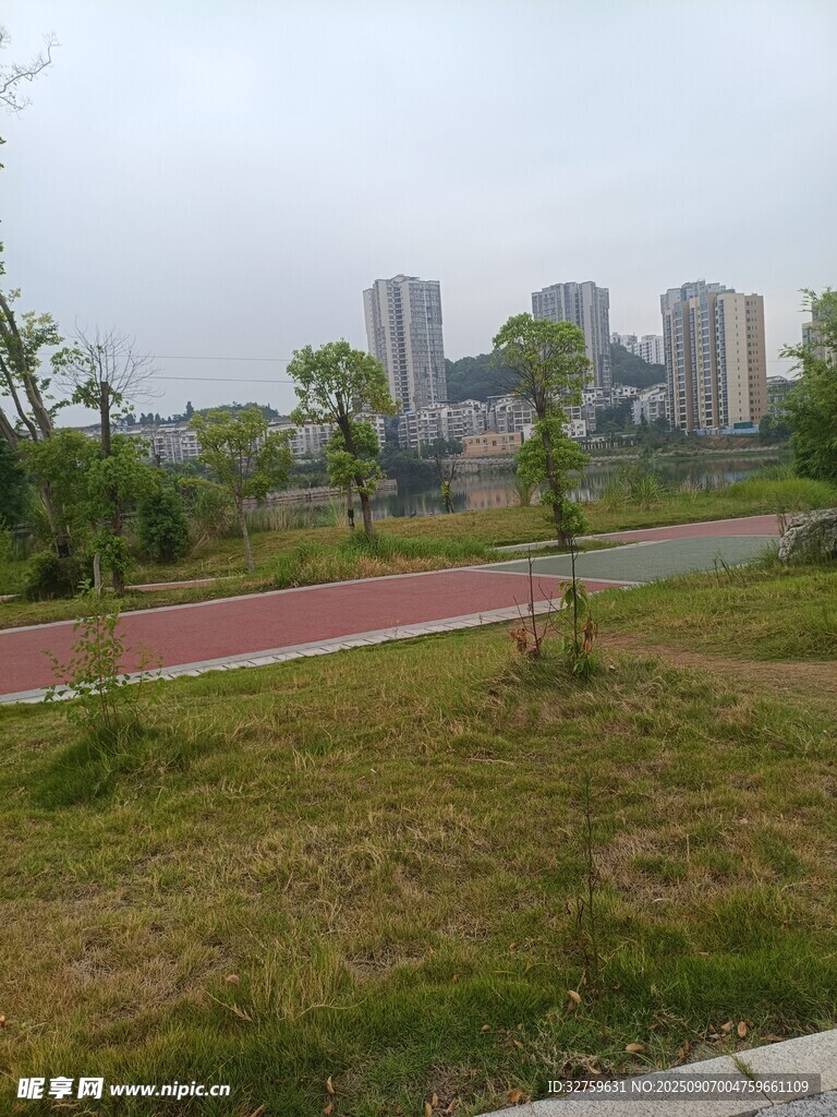城市中的绿地与远处高楼