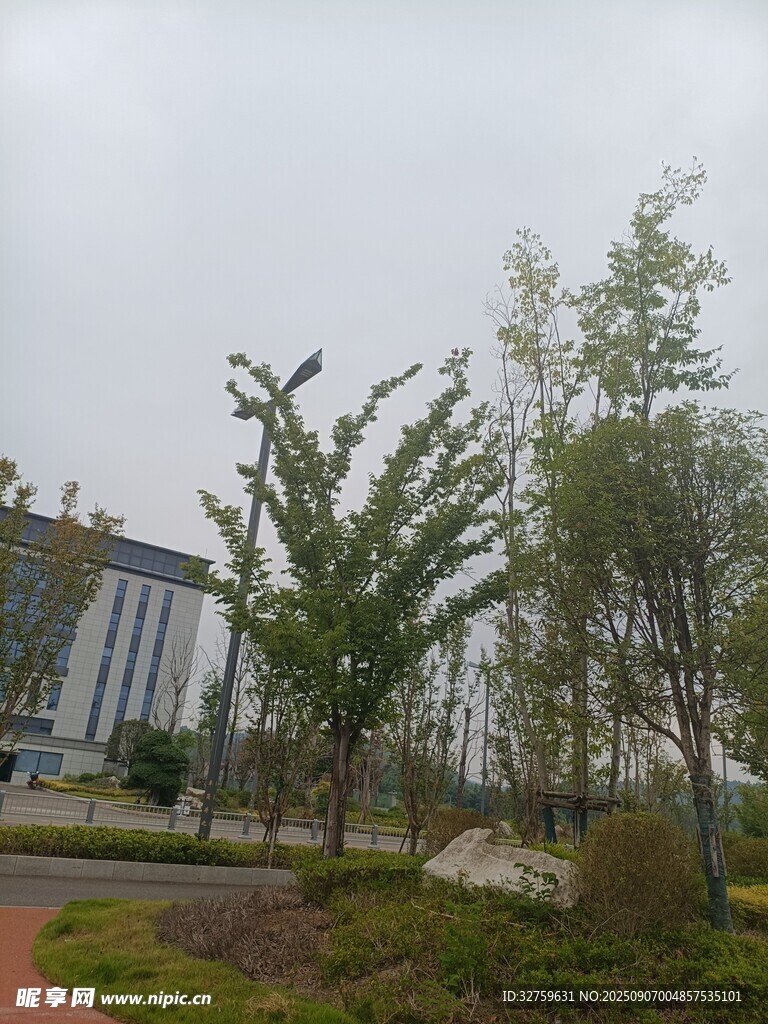 户外绿植与现代建筑景观