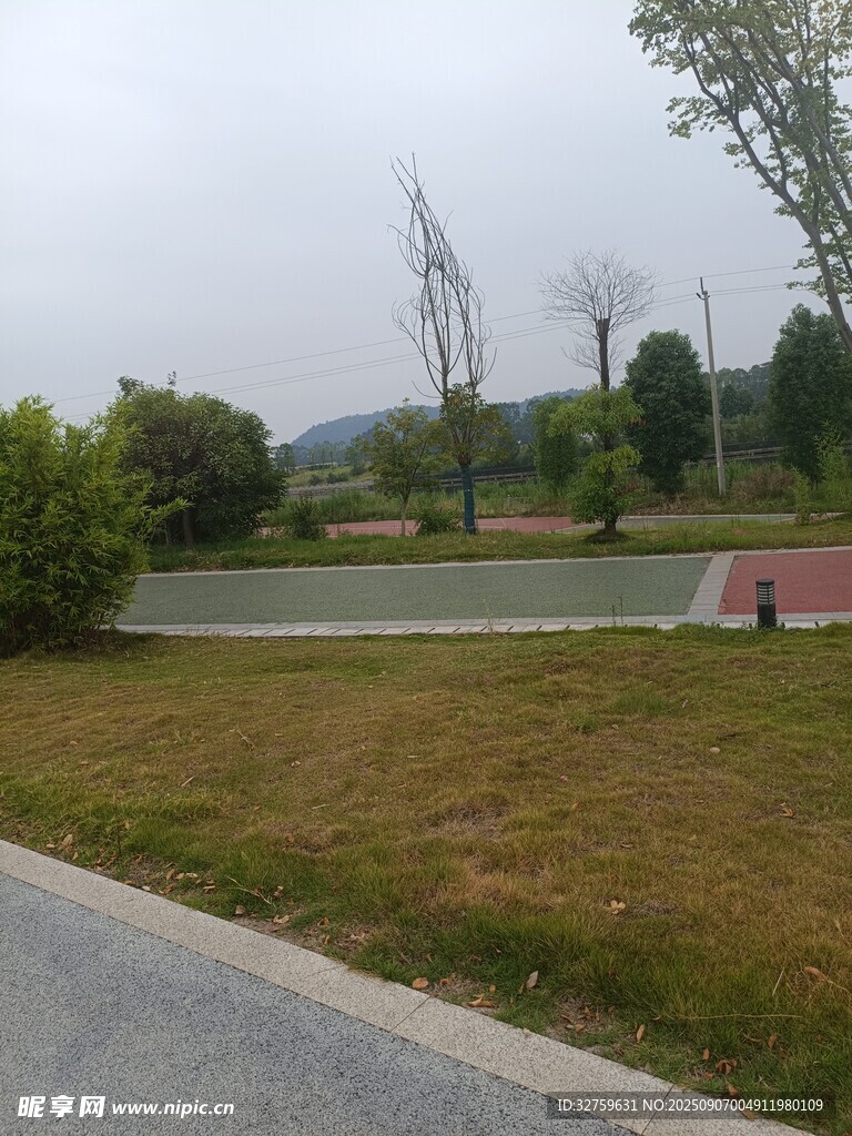 路边草地与远处景致