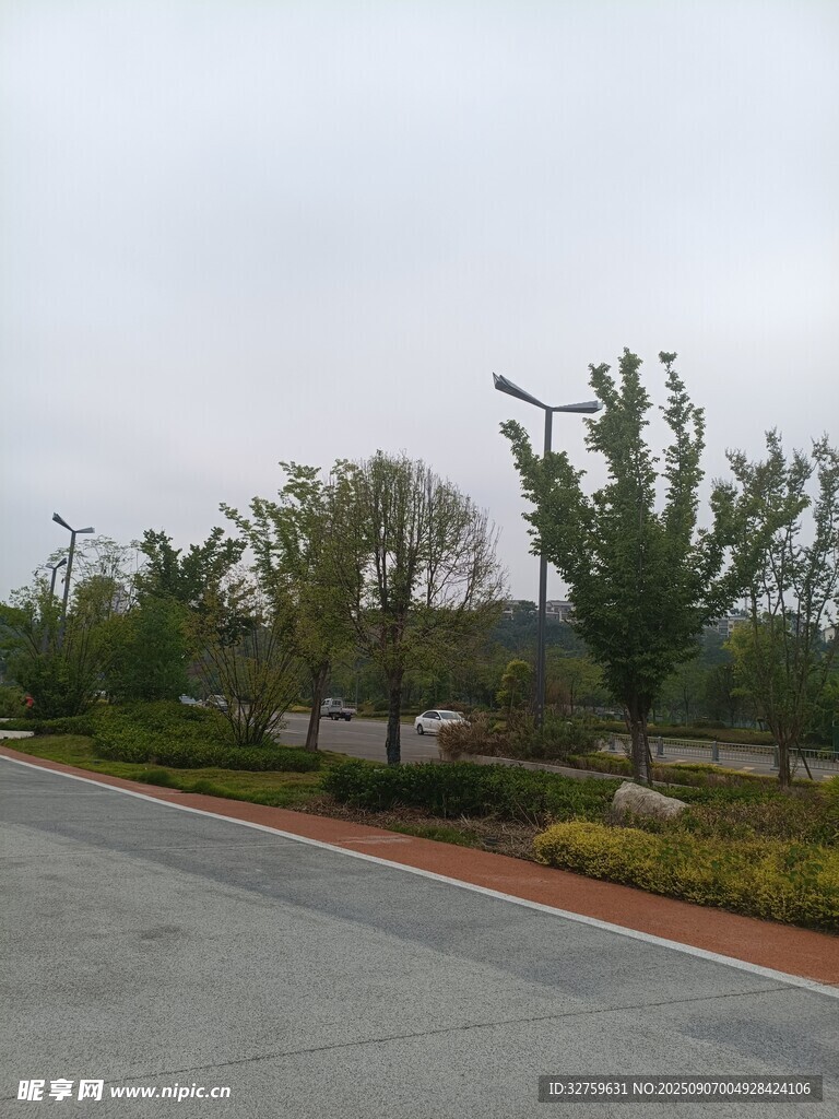 道路旁的绿植景观