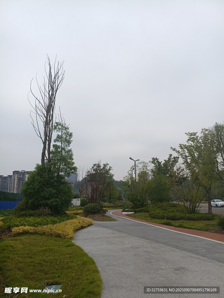 城郊静谧道路旁绿植景观