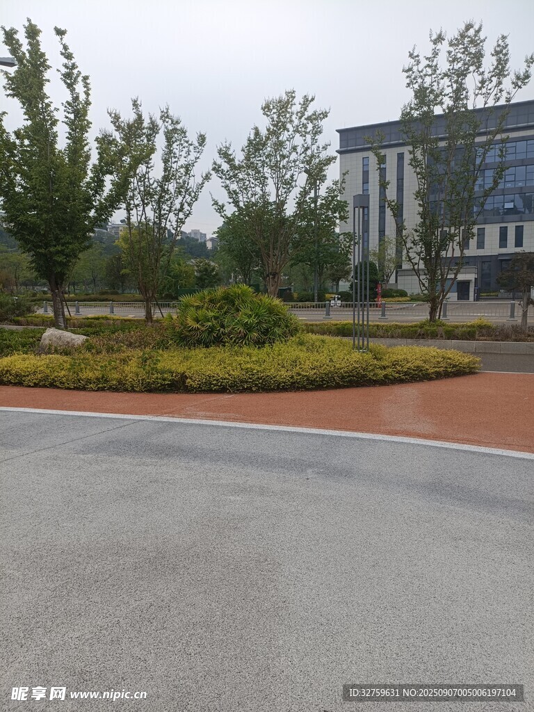 校园道路旁的绿植与建筑