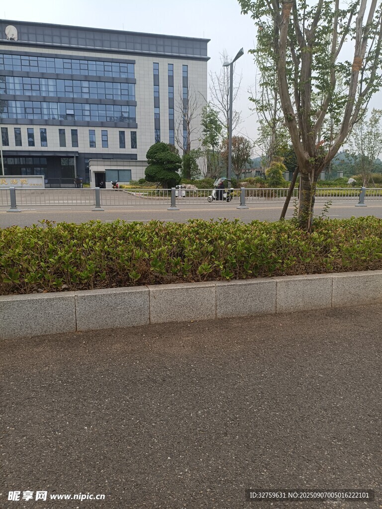 现代办公楼外的绿化景观