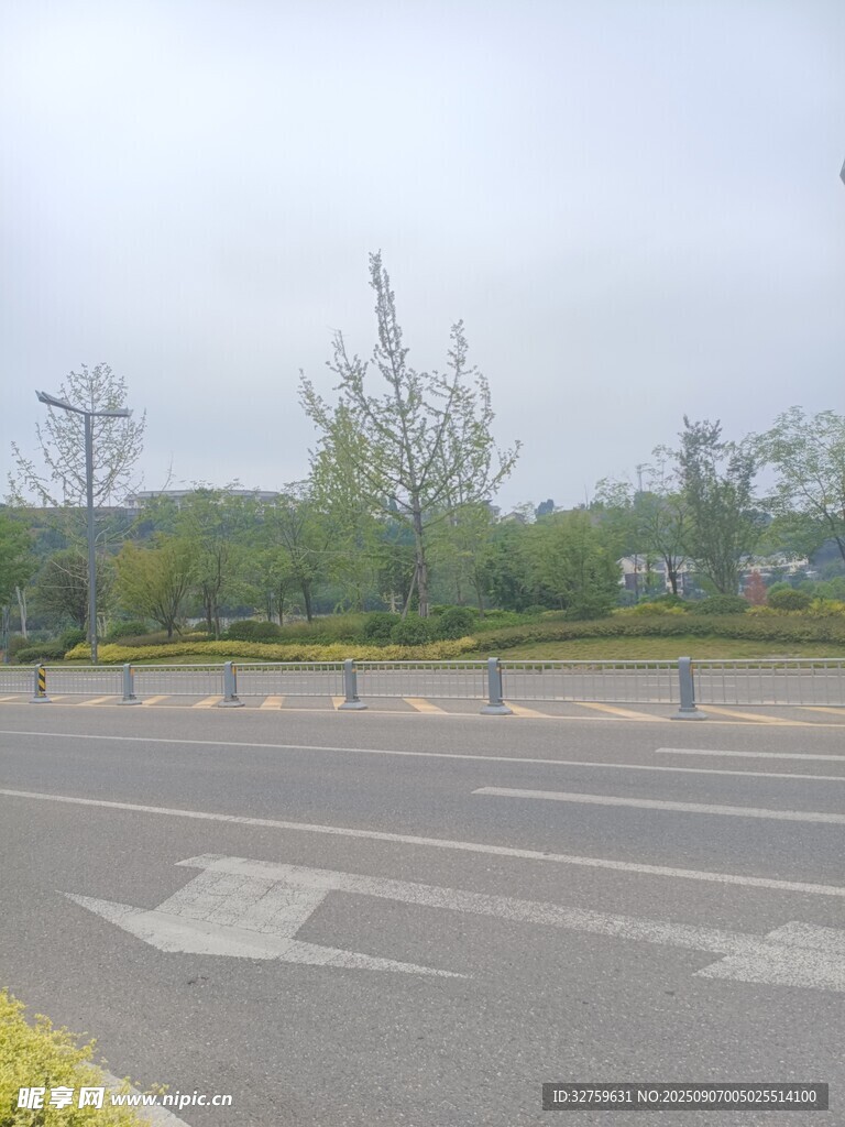 城市道路旁的绿化景观