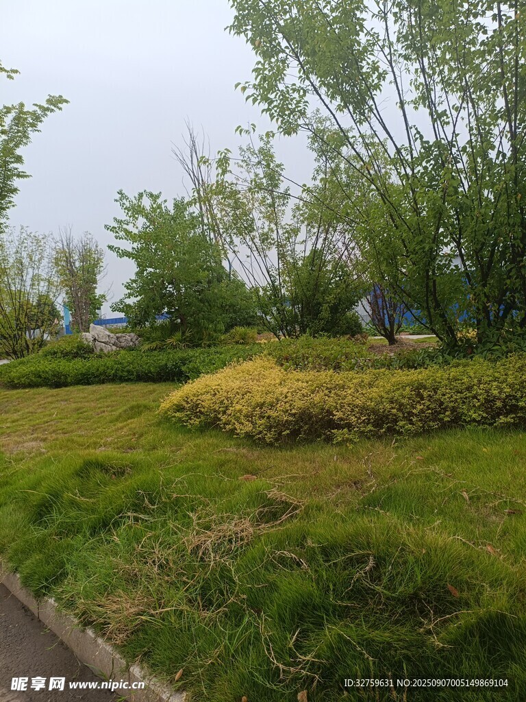 城市中的绿意盎然景观