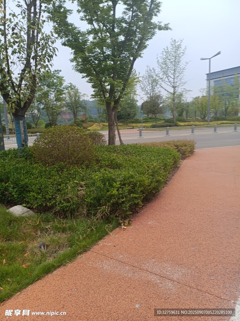 雨后清新的城市步道景观
