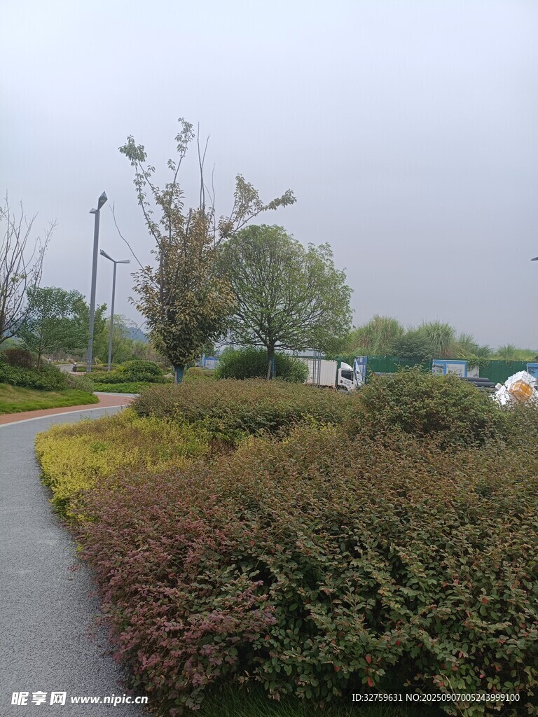 城市路边多彩绿植景观