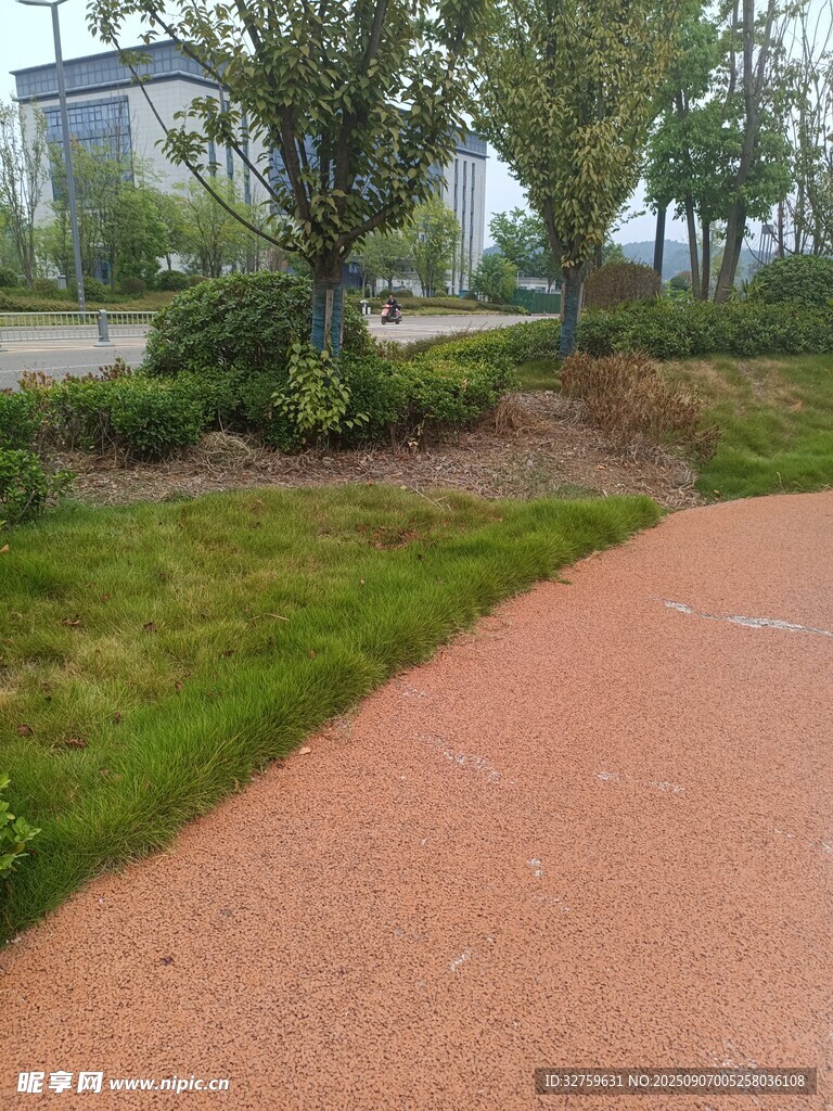 户外红色步道与绿植景观
