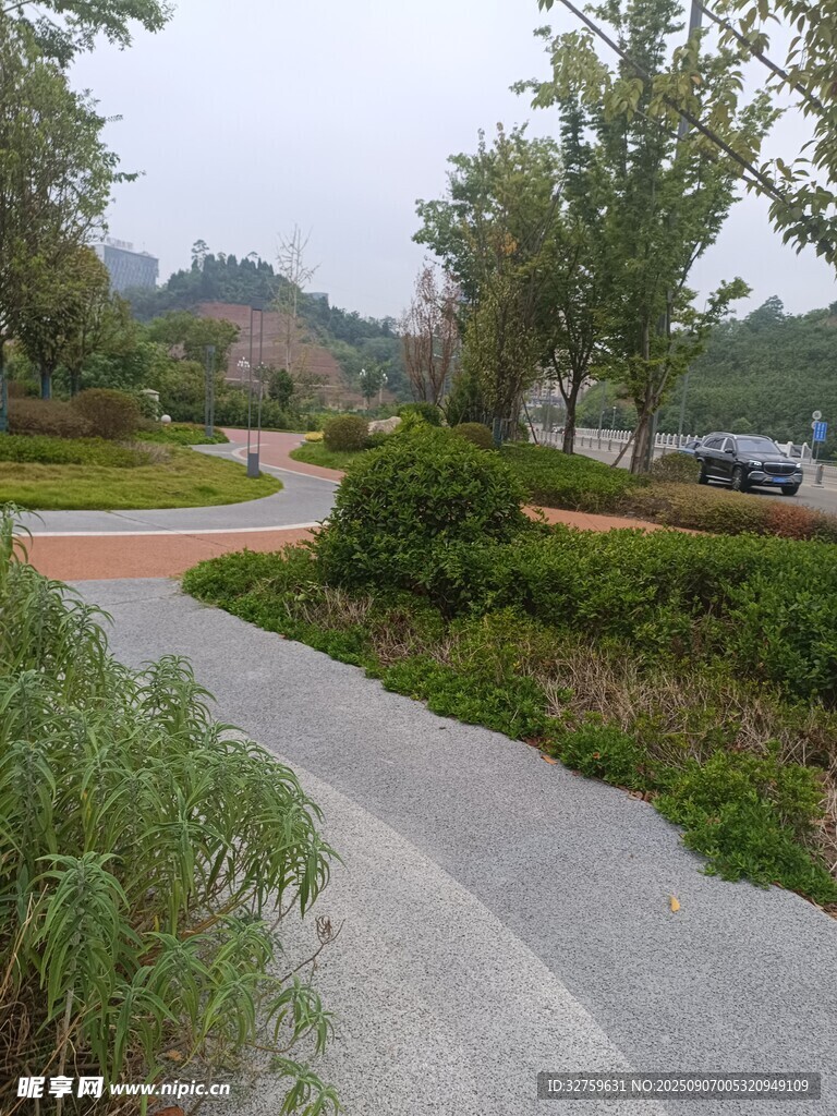 郊外蜿蜒小径的自然景致