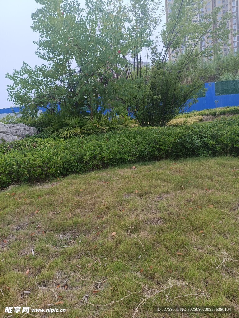 户外绿植草地景观