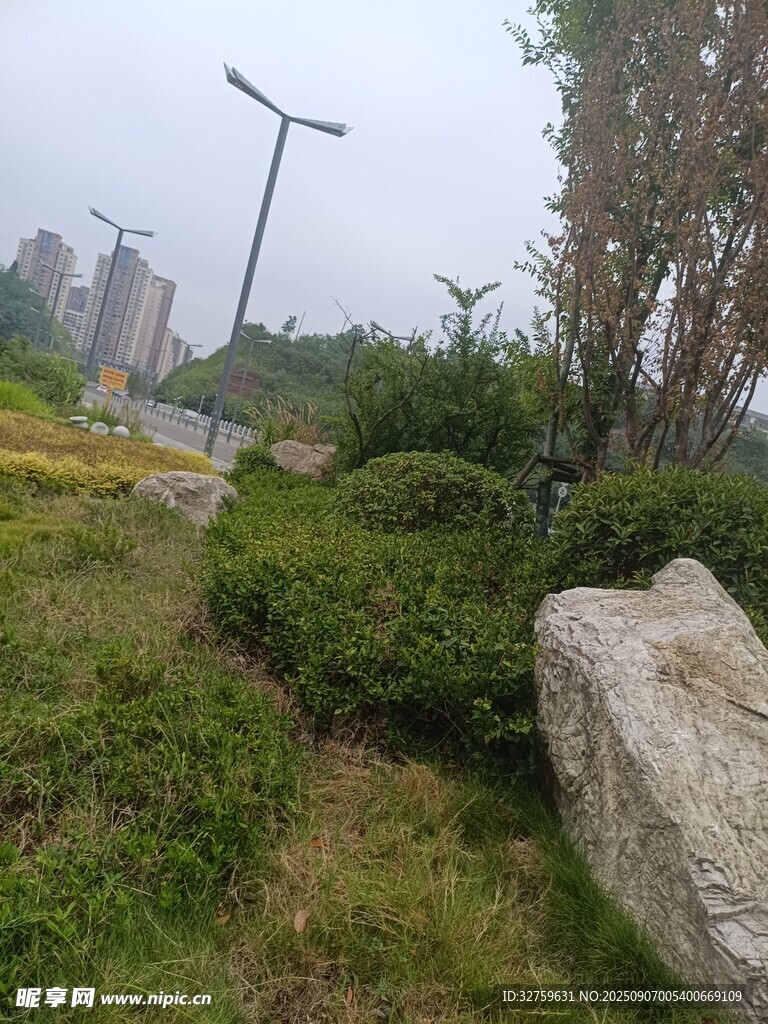 城市绿地中的自然景致