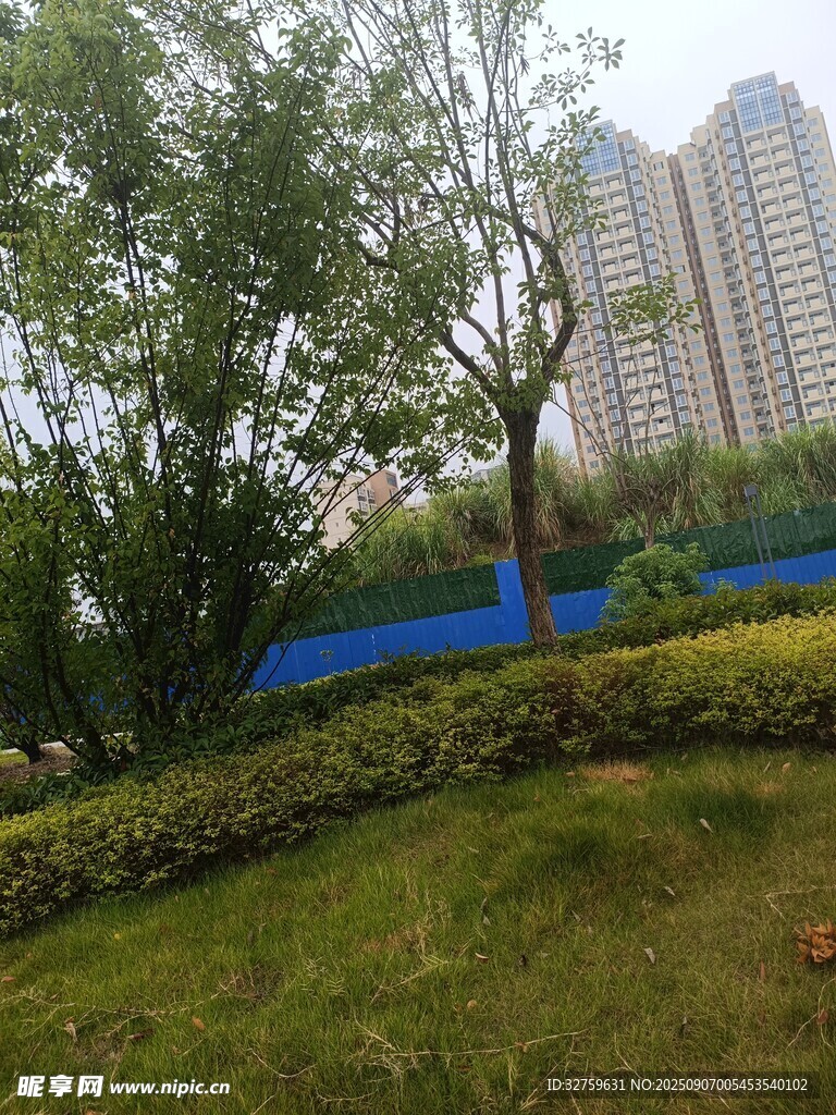 城市绿地旁的高楼景观