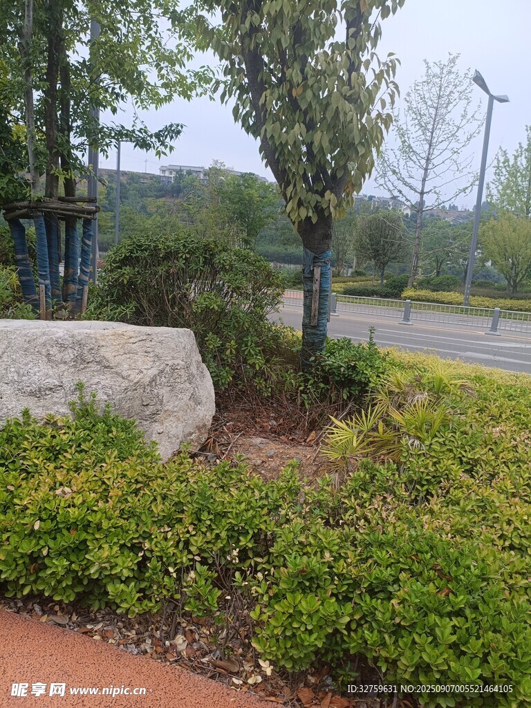 户外绿植与景观石场景