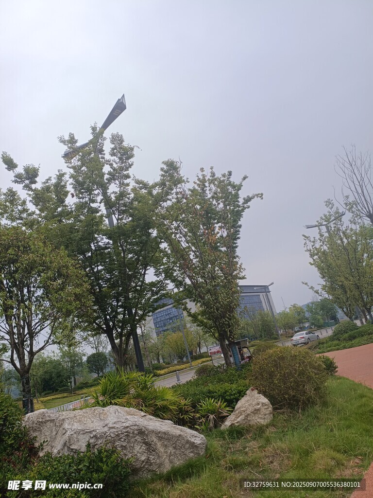 户外绿植与岩石景观