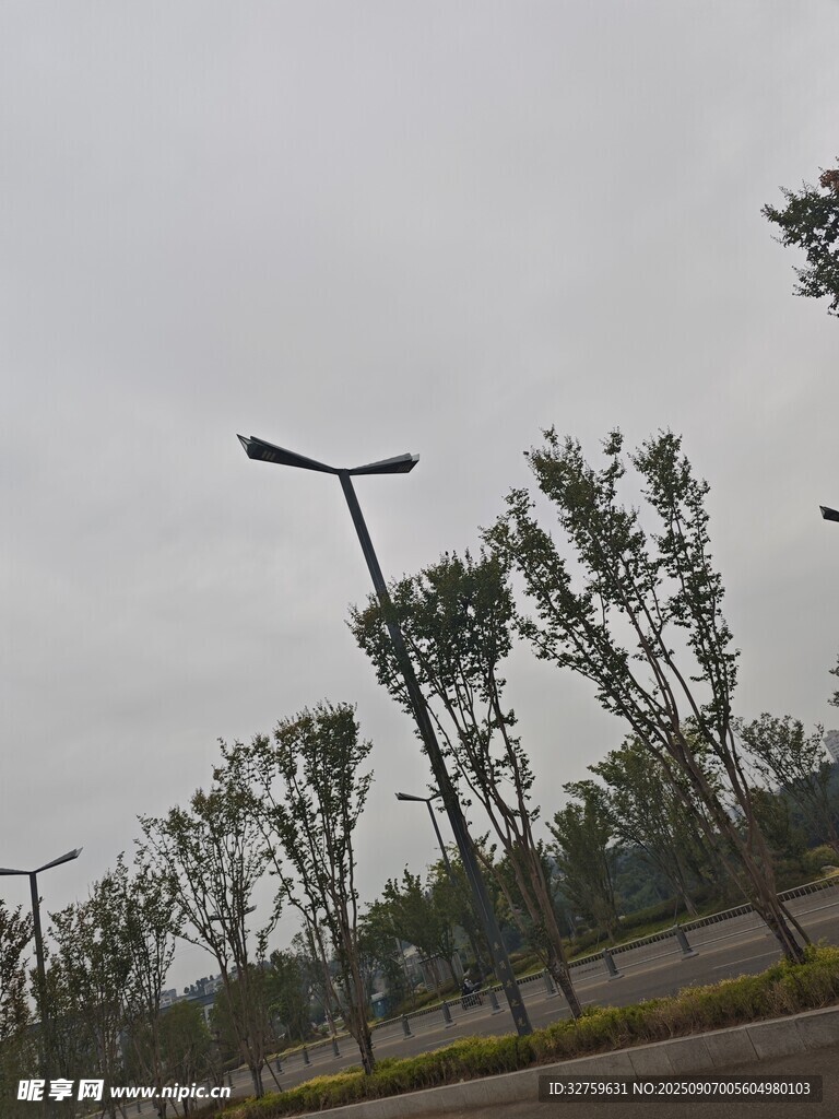 道路旁的路灯与树木