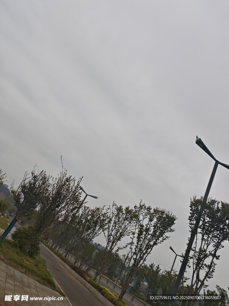 阴天的道路与树木景观