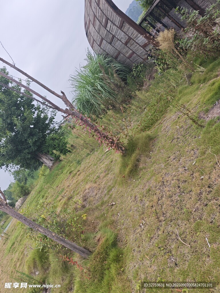 户外草地与设施场景