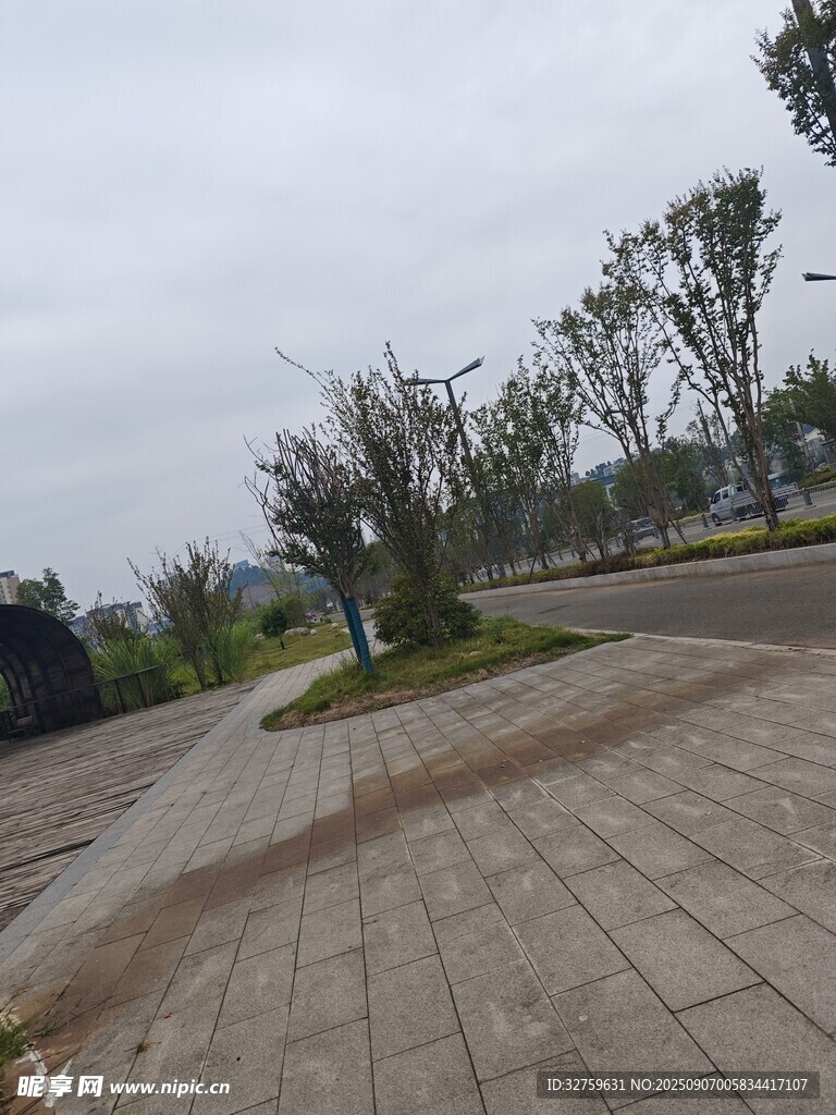 户外空旷广场与树木景观