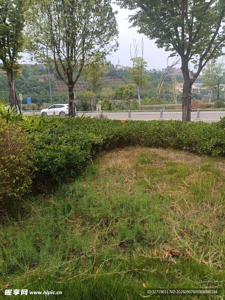 城市绿化带景观一角