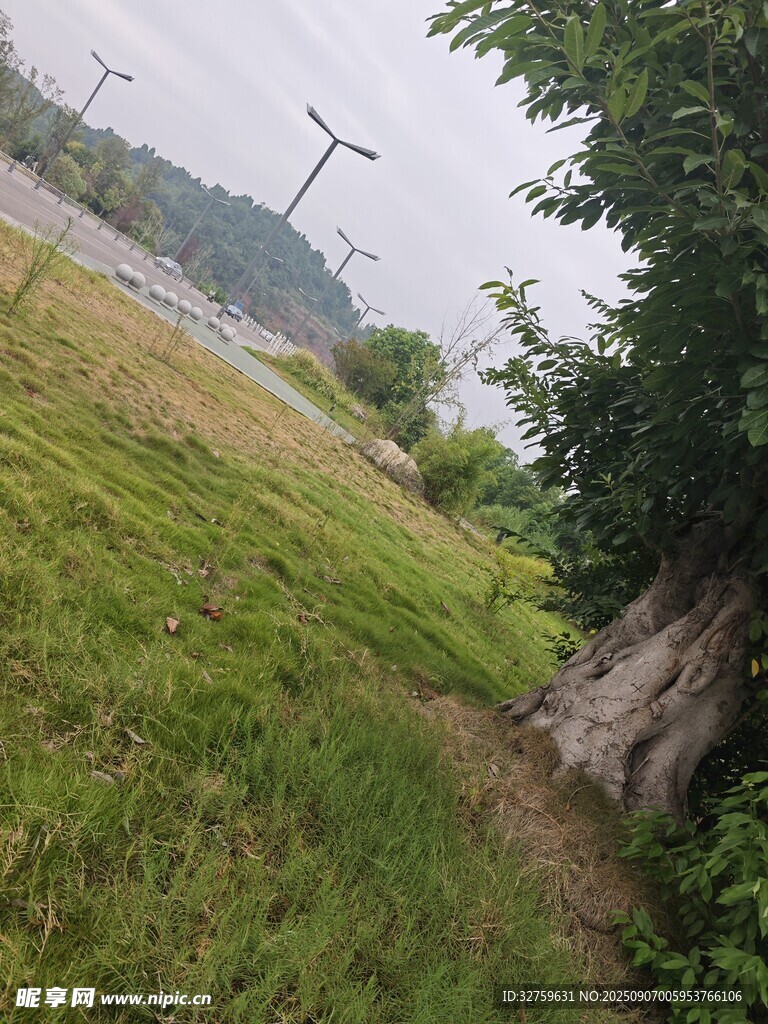 河畔草地风景