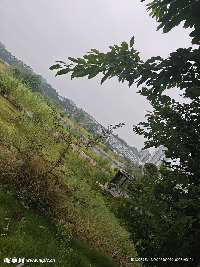 乡村绿野风光
