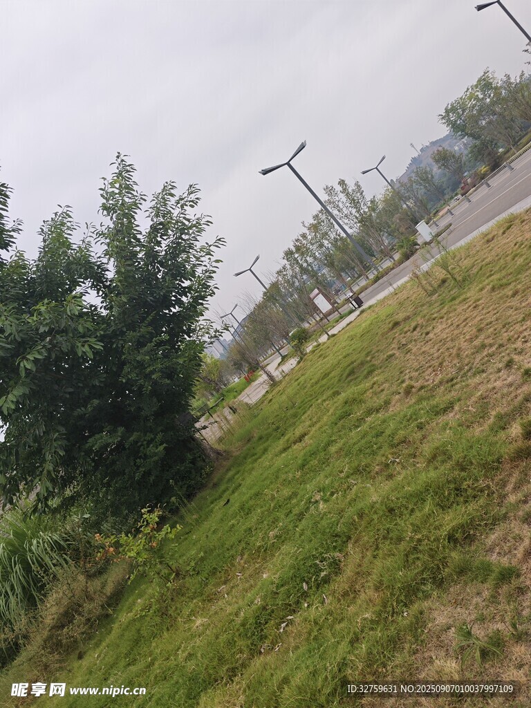 户外草地树木风景图