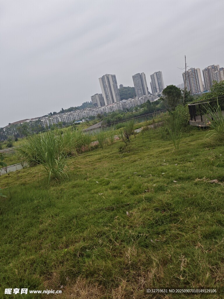 城郊草地与远处高楼景观
