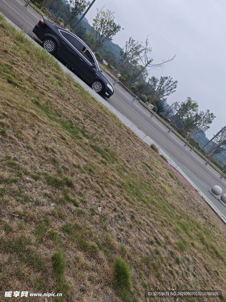 公路旁草地边的黑色车辆