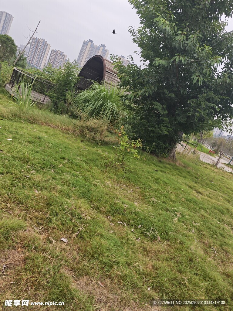 户外草地旁的绿植与建筑