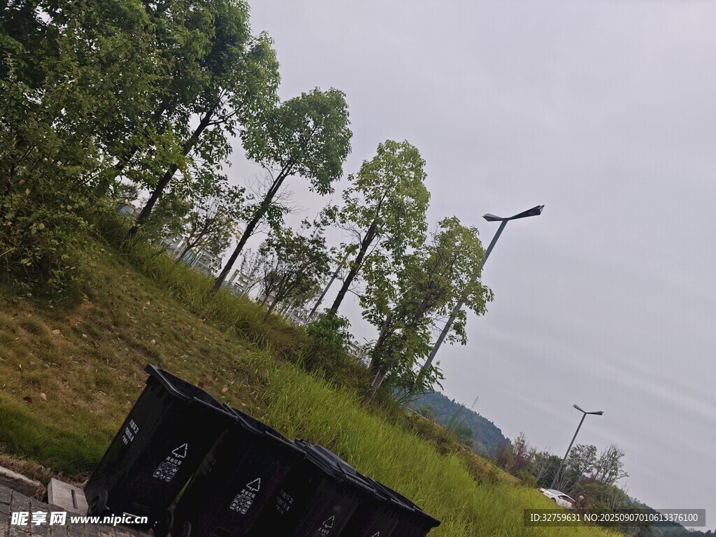 野外路旁景色