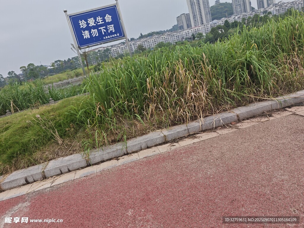 路边绿植与远处蓝色指示牌