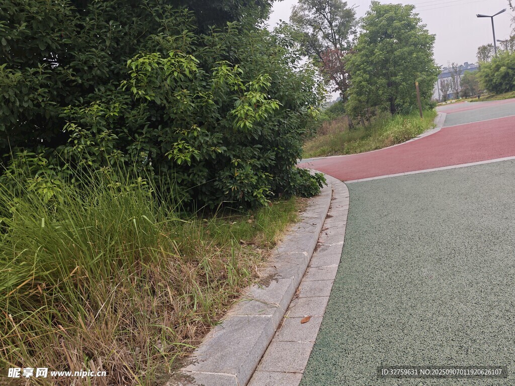 户外彩色步道旁绿植景观