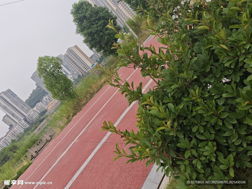 校园红色跑道旁绿植景观
