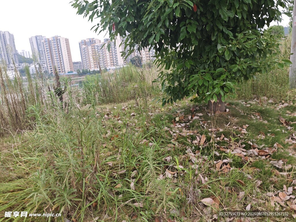 城郊荒地景象