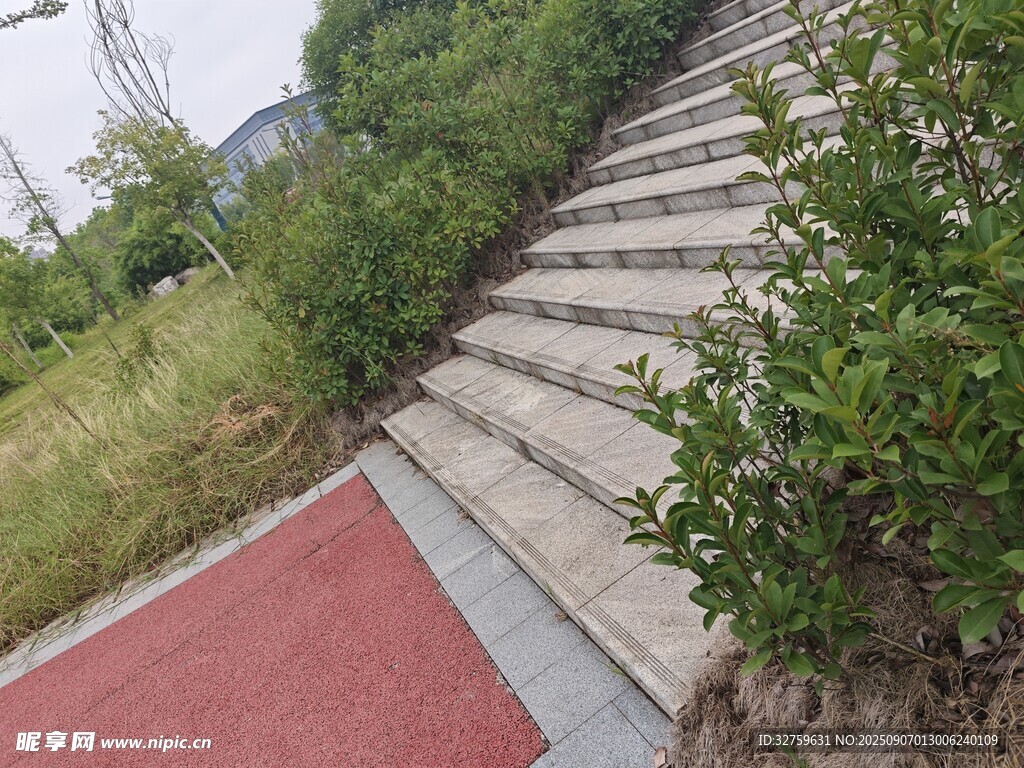 户外石阶旁的绿植与步道